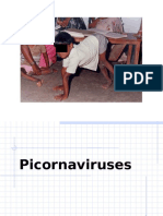 Picorna Lecture