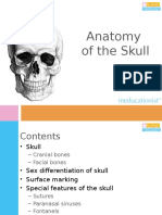 L11_Anatomy of the Skull