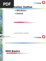 Presentation Outline: SDH Basics Outlook