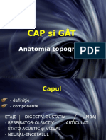 Topografie Cap Si Gat (4)