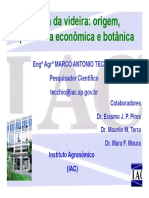 1 aula esalq origem historia dados economicos botanica atual.pdf