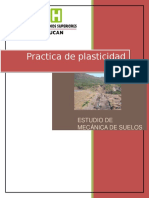 Plasticidad-practica (5 y 6)