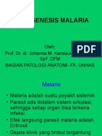 Patogenesis Malaria (Kuliah Syst. Peny. Tropis)