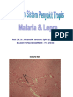 Present. Praktikum Sis. Peny. Tropis (Lepra&Malaria)
