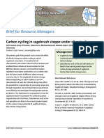 Carbon cycling in sagebrush steppe under climate change