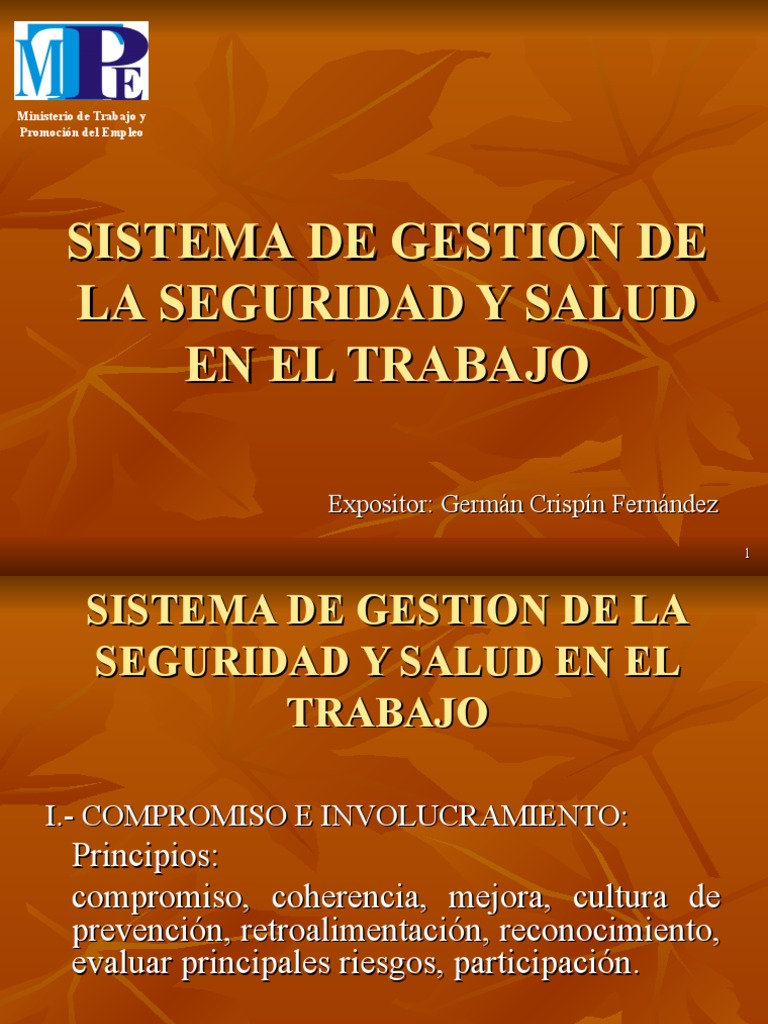 Sistema de Gestion en Seguridad y Salud | PDF