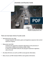 Lecture 7 - Nucleotides and Nucleic Acids