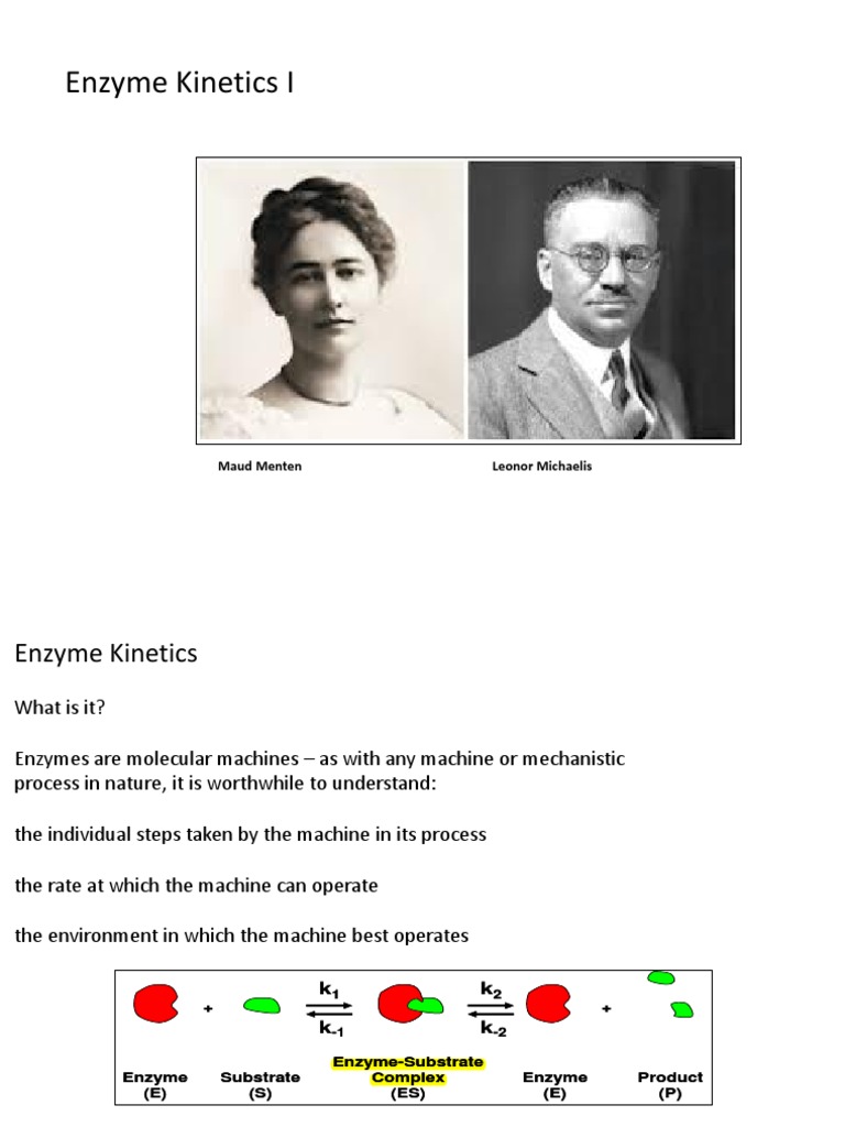 Lecture 12 Enzyme I PDF Enzyme Enzyme