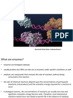 Lecture 11 - Introduction to Enzymes