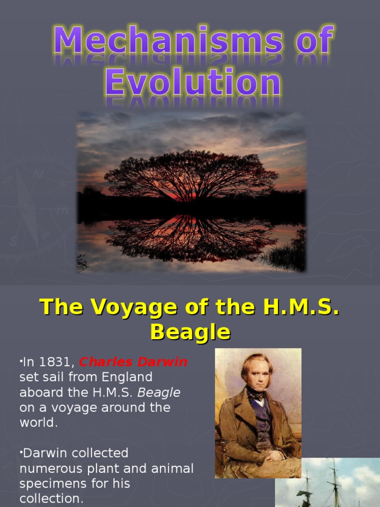 Evolution | PDF | Charles Darwin | Natural Selection