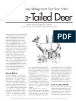 Deer Factsheet Flattened