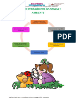 Procesos Pedagógicos Ciencia y Amb PDF