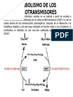 Metabolismo de Neurotransmisores