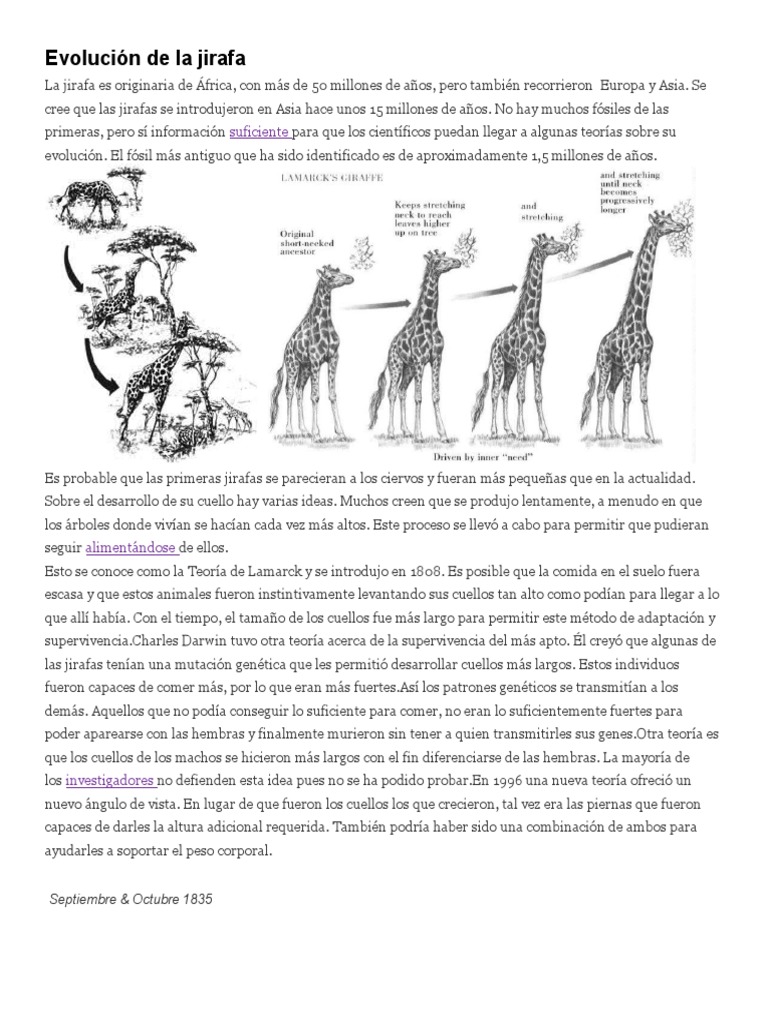 Evolución de La Jirafa | PDF | Charles Darwin | Islas Galápagos