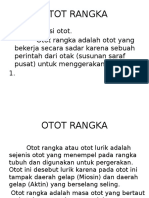 Otot Rangka