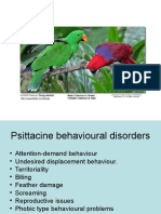 Behaviour L - 11 Bird Behaviour