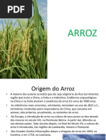 Cultura Arroz