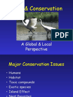 Birds & Conservation: A Global & Local Perspective