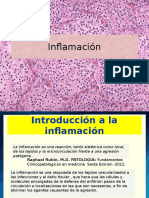  Inflamacion PowerPoint