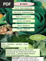 Download PPT penyakit kubis by Luthfi JR SN307147301 doc pdf