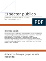 El Sector Público