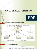 Ciclo Sexual Femenino