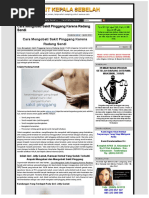 Download Cara Mengobati Sakit Pinggang Karena Radang Sendi  OBAT SAKIT KEPALA SEBELAH by Agus Salam SN307165231 doc pdf