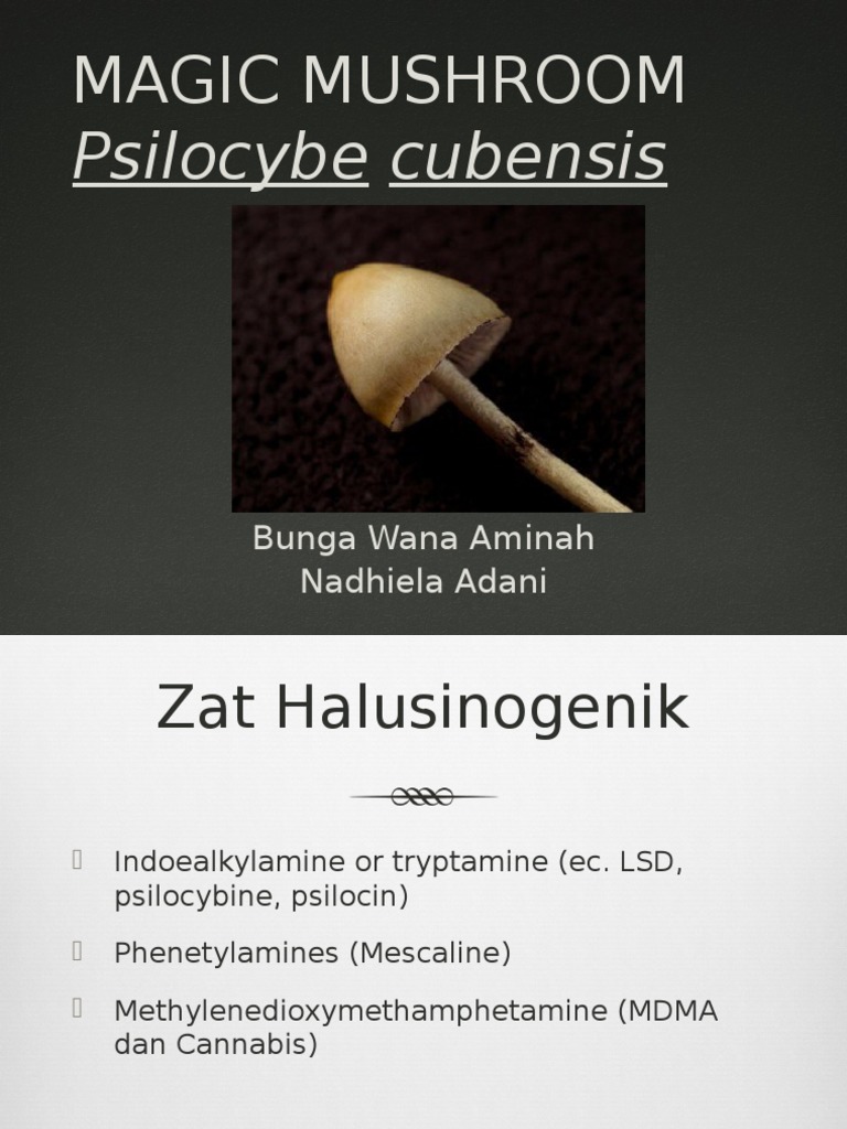 Efek dan Penggunaan Magic Mushroom | PDF