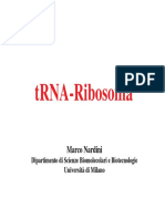tRNA-Ribosoma