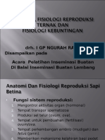 Anatomi, Fisiologi Reproduksi Ternak Dan Fisiologi Kebuntingan Rev