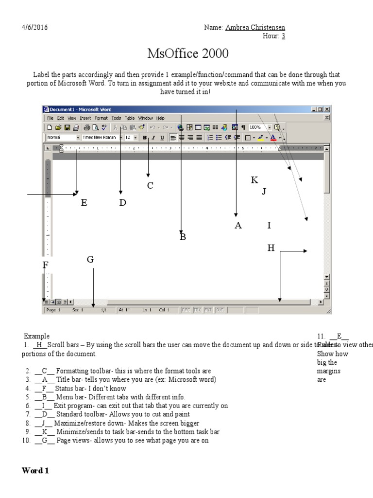 Microsoft Word Toolbar Functions Guide | PDF