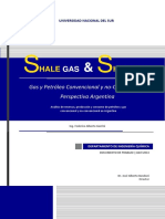 Shale Gas and Shale Oil - Gas y Petróleo Convencional y No-Convencional en Argentina - Federico Alberto Gorrini