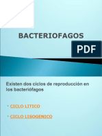 Bacteriofagos