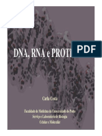 DNA__RNA_e_Proteinas_-_Carla_Costa.pdf