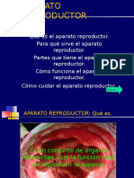 Ciencias Naturales - Aparato Reproductor