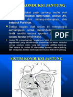 Sistem Konduksi Jantung