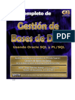 Manual Gestion de Base de Datos