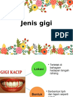 Jenis Gigi