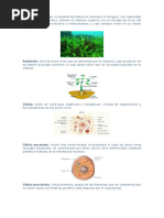 Seres vivos y primeros auxilios