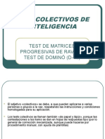 TEST DE MATRICES PROGRESIVAS DE RAVEN y TEST DE DOMINÓ (D-48)
