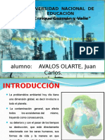 Comtaminacion Ambiental.