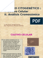 Estudio Citogenetico-Analisis Cromosomico