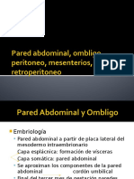 Pared Abdominal, Ombligo, Peritoneo, Mensenterios, Epiplón y Retroperitoneo