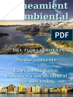 Saneamiento Ambiental