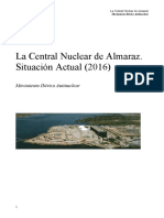 Informe Almaraz