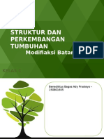 Modifiaksi Batang