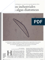 Diatomeas