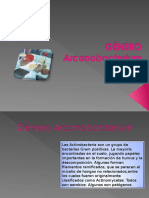 Clase Arcanobacterium