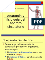 aparato_circulatorio