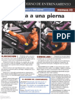 cuaderno de entrenmiento 252.pdf